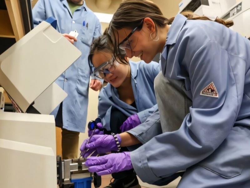    Из водорослей сделали биогибридный пластик