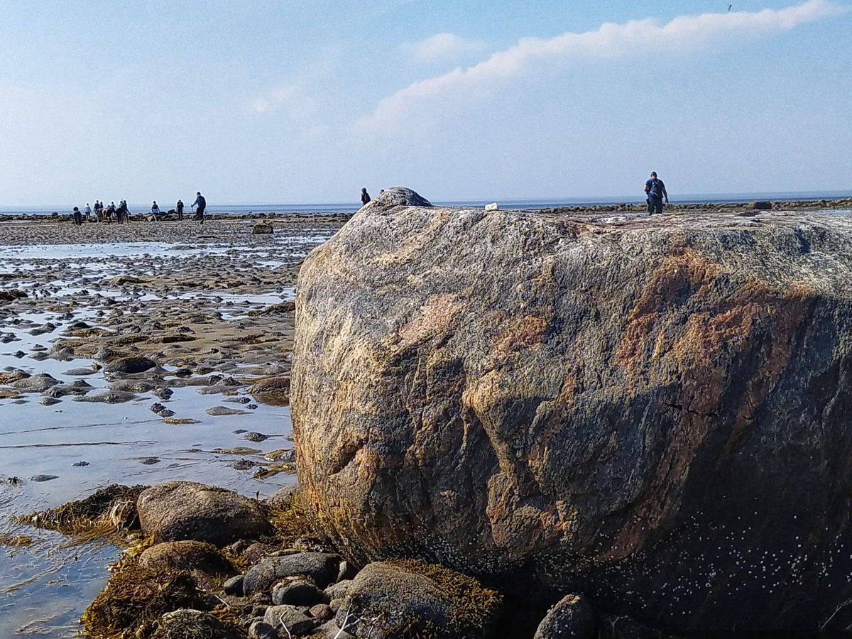 По дну моря к Белужьему мысу. Фото автора