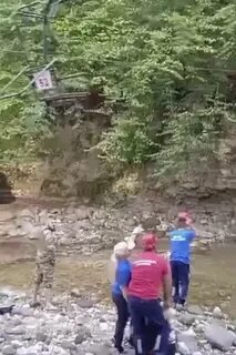 Источник https://avatars.mds.yandex.net/i?id=2a000001988b6028ba5d8de910ac391138fa-1609306-fast-images&n=13