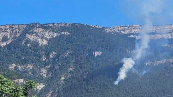    © Кадр видео из соцсетей