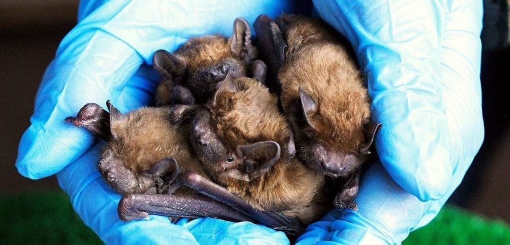    Фото: Фонд «Следы человека»/VK Ульяна Бажанова