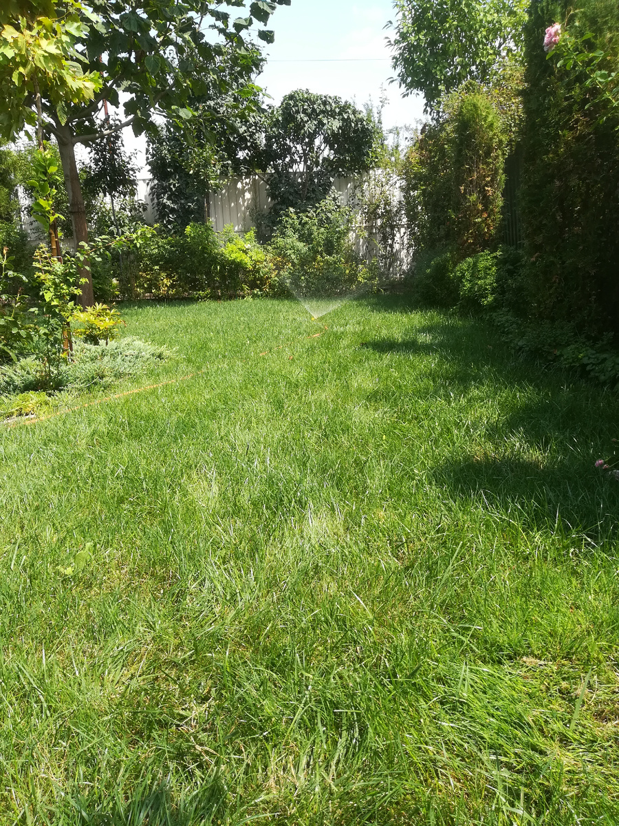 Отливаю болезного. Мало ему жары было, так ещё и хозяйка неумная добавила. 