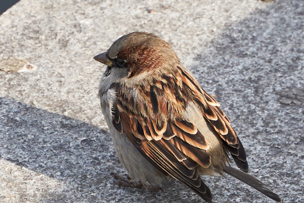    Фото: Лидия Аникина