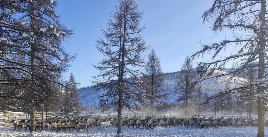    Фото: пресс-служба Правительства Республики Саха (Якутия)
