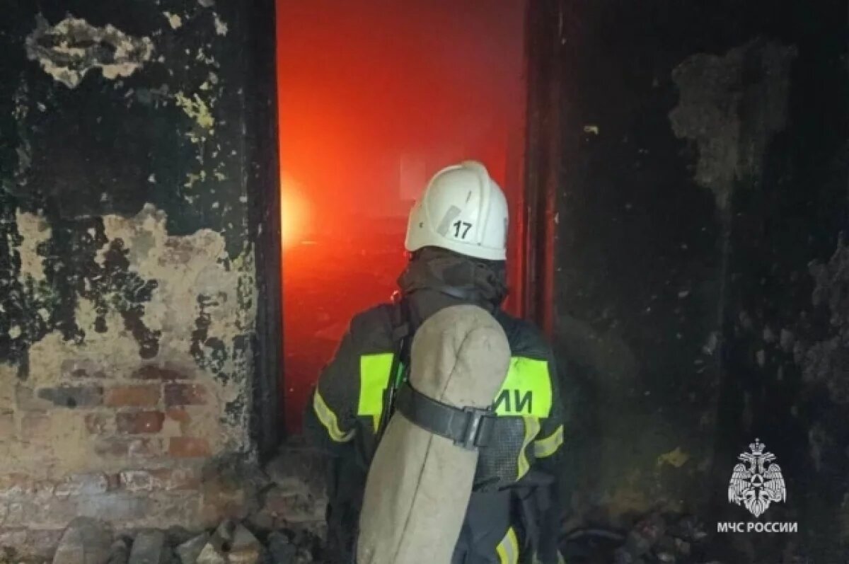    В Тульском регионе устранили два пожара за сутки
