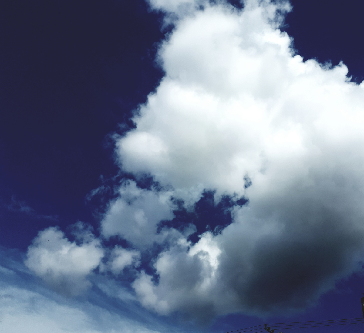 Фото автора 09.08.2025г.