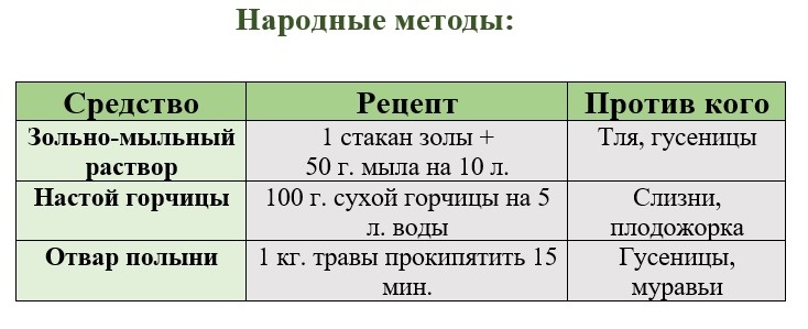 Народные методы работают при регулярном применении, раз в 5–7 дней.