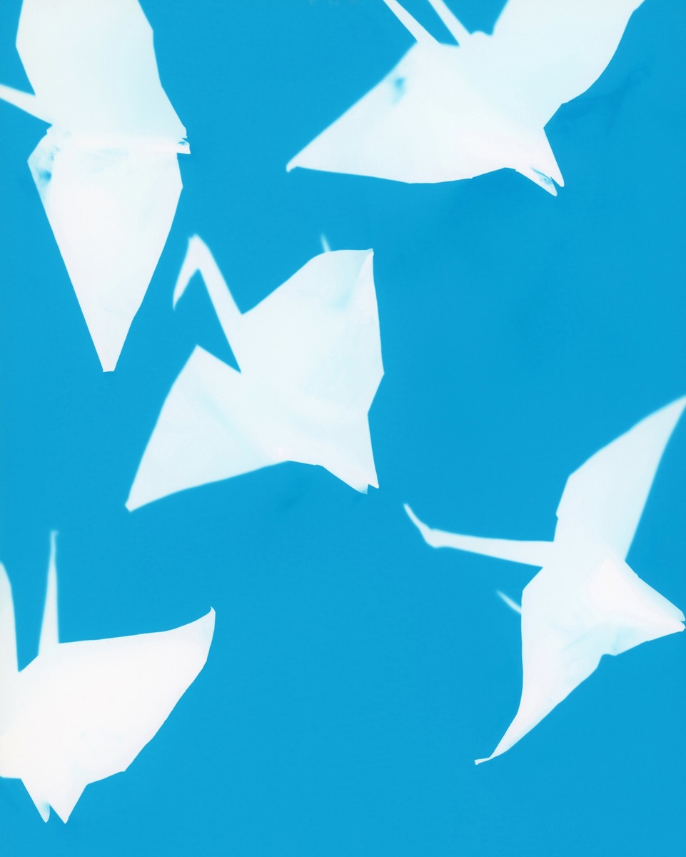 Бумажные журавлики, чьи тени изображены здесь, являются символами мира и надежды в Хиросиме.