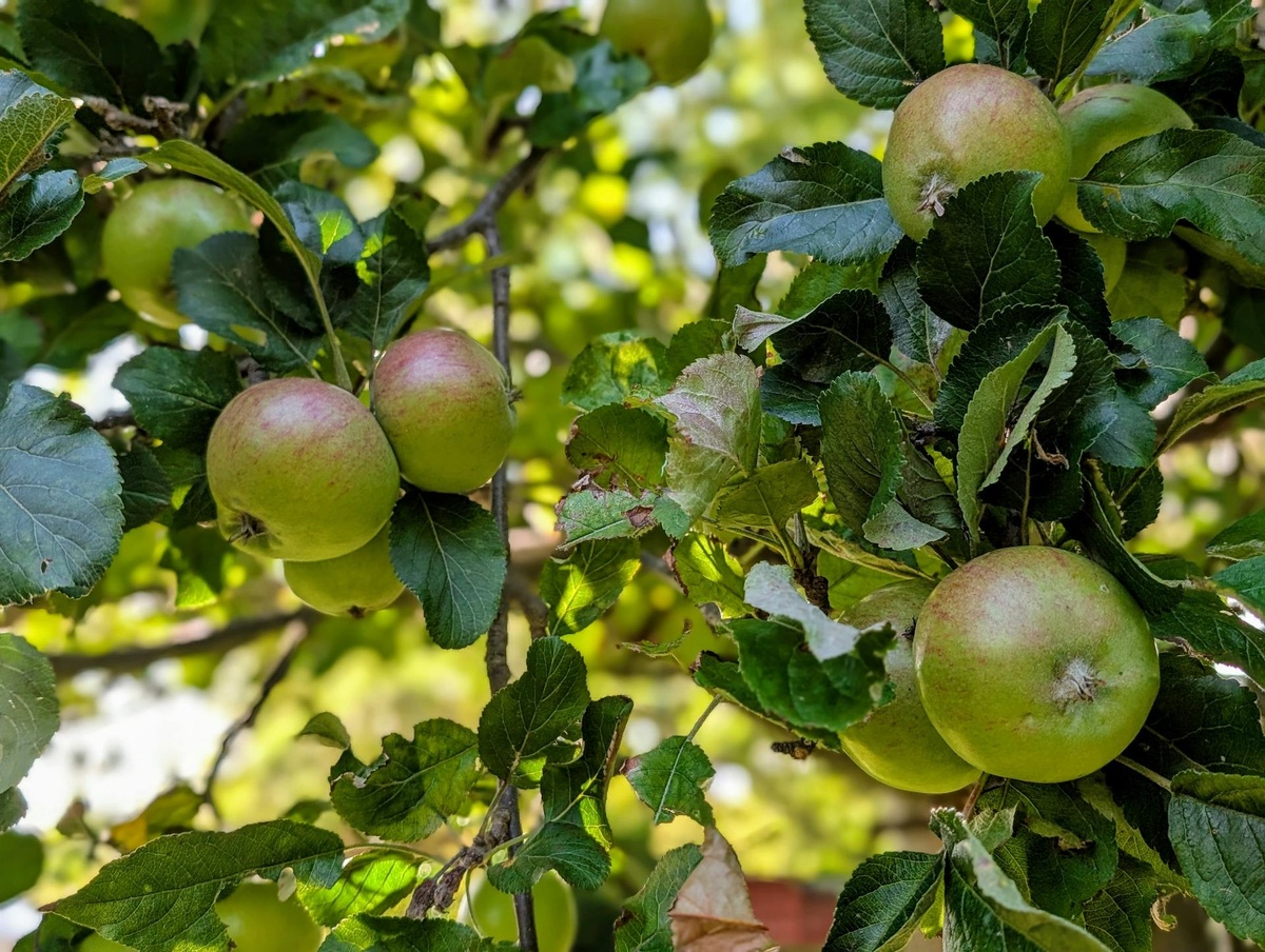 Фото: https://www.pexels.com/photo/33348668