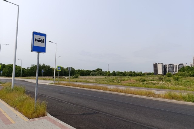   Фото из архива Калининград.Ru