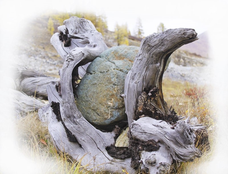 фото Миронов А.А.