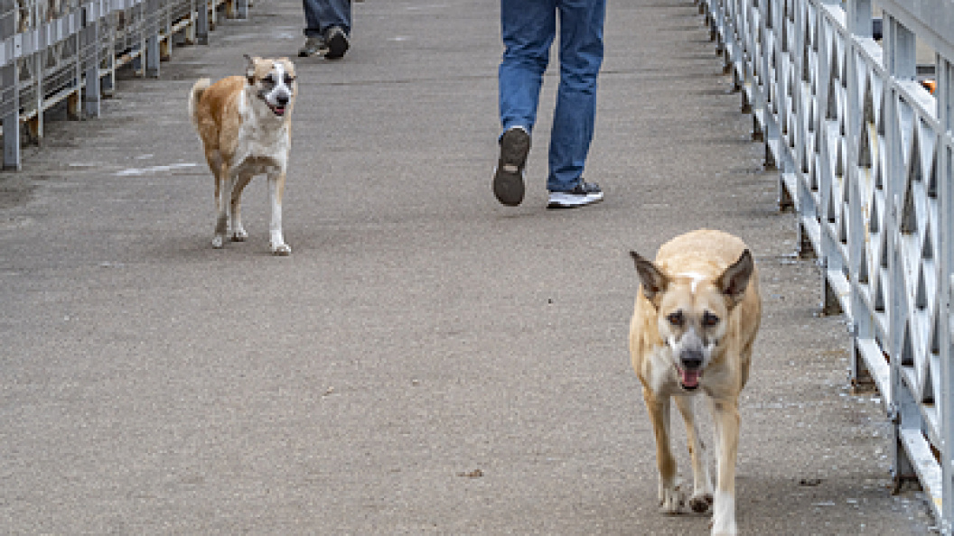    Фото: Konstantin Kokoshkin/Globallookpress.