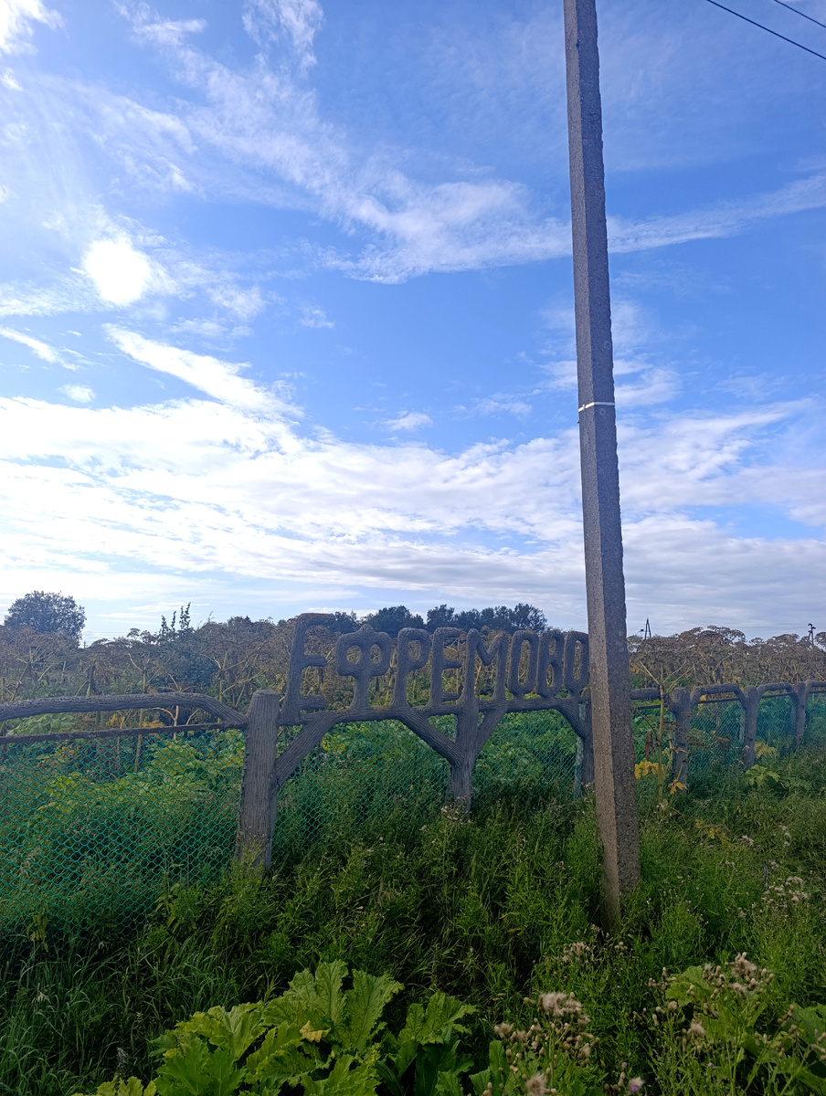 Борщевиков - поля! Повсюду!