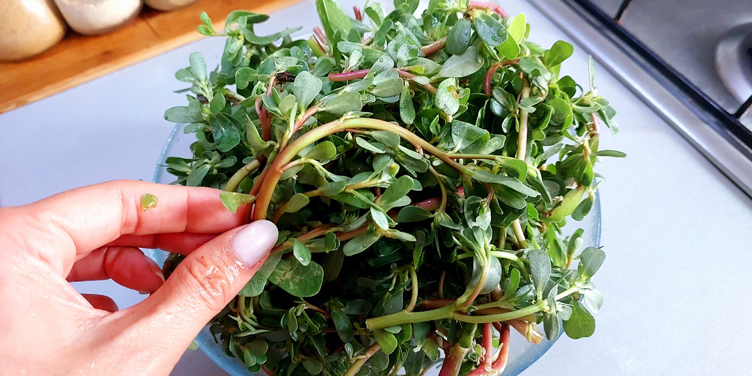 Самый популярный и вкусный рецепт портулака, который набрал 9,8 млн просмотров!🥰🥰🥰