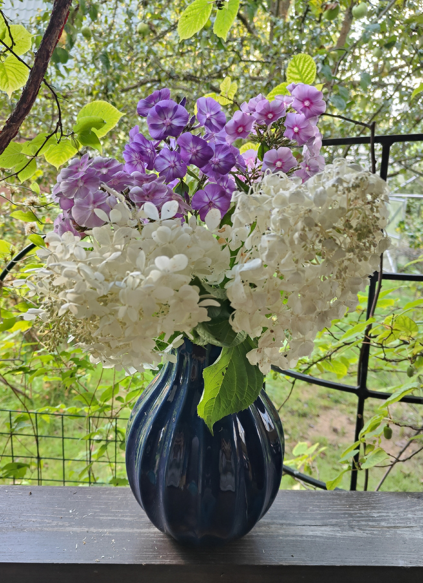 Одна из самых больших моих ваз. Икеевская.