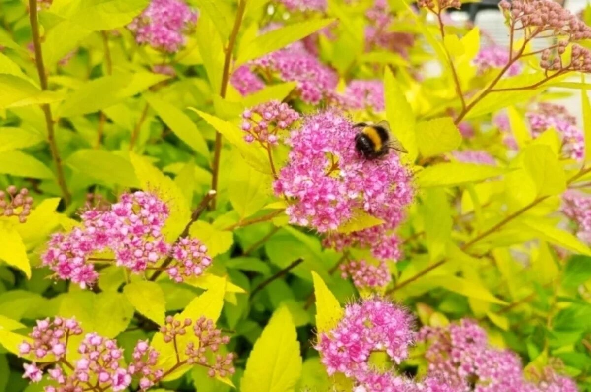    В Свердловской области похолодает до +3 градусов