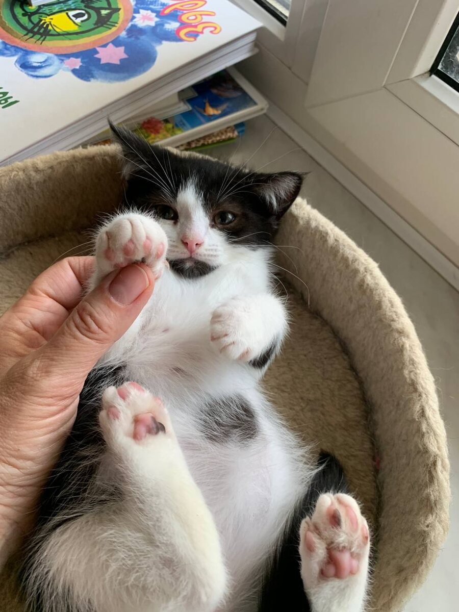 Милаха Скай