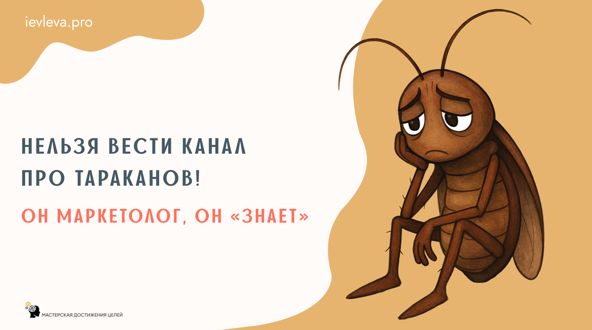 Нельзя вести канал про тараканов! 