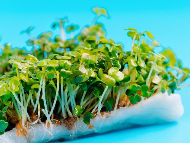    Фото: nkooume/123RF