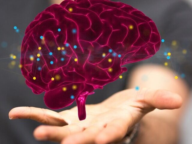    Фото: 123RF/wirestock