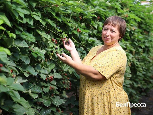 Фото: Валерия Шатько