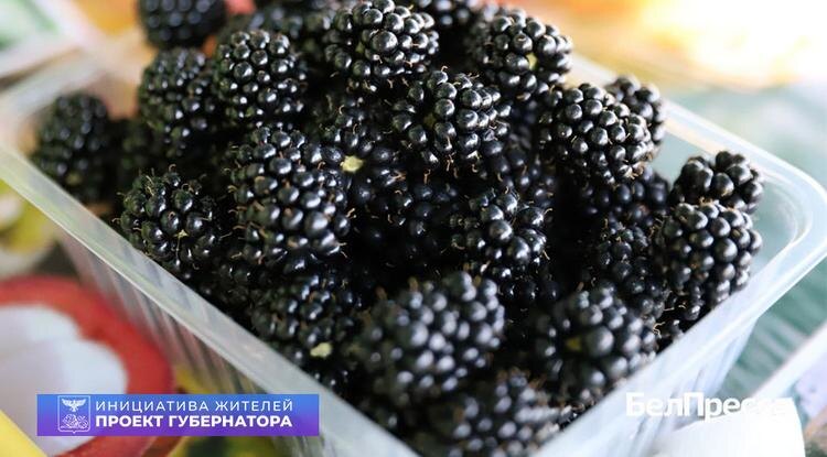 Фото: Валерия Шатько