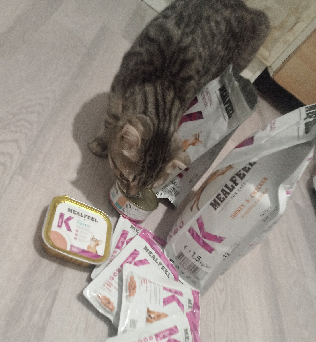 Эксперты убедили меня перейти с вискаса на нормальный корм)