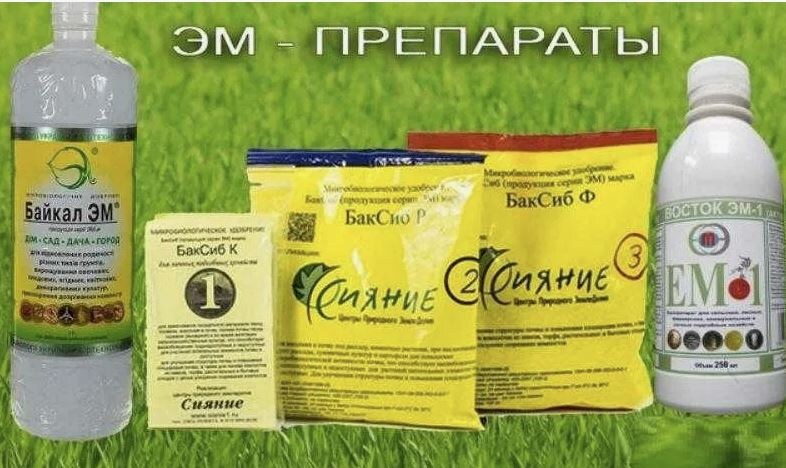 ЭМ-препараты: как превратить почву в плодородный рай без химии