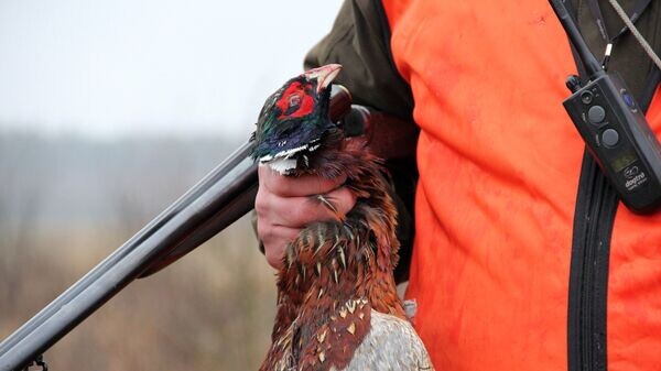    © Sputnik / Ирина Букас