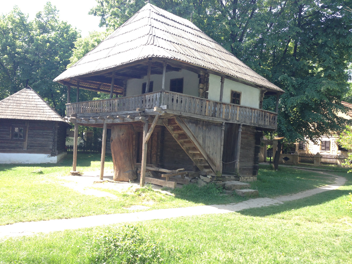 Ниф-ниф одобряет