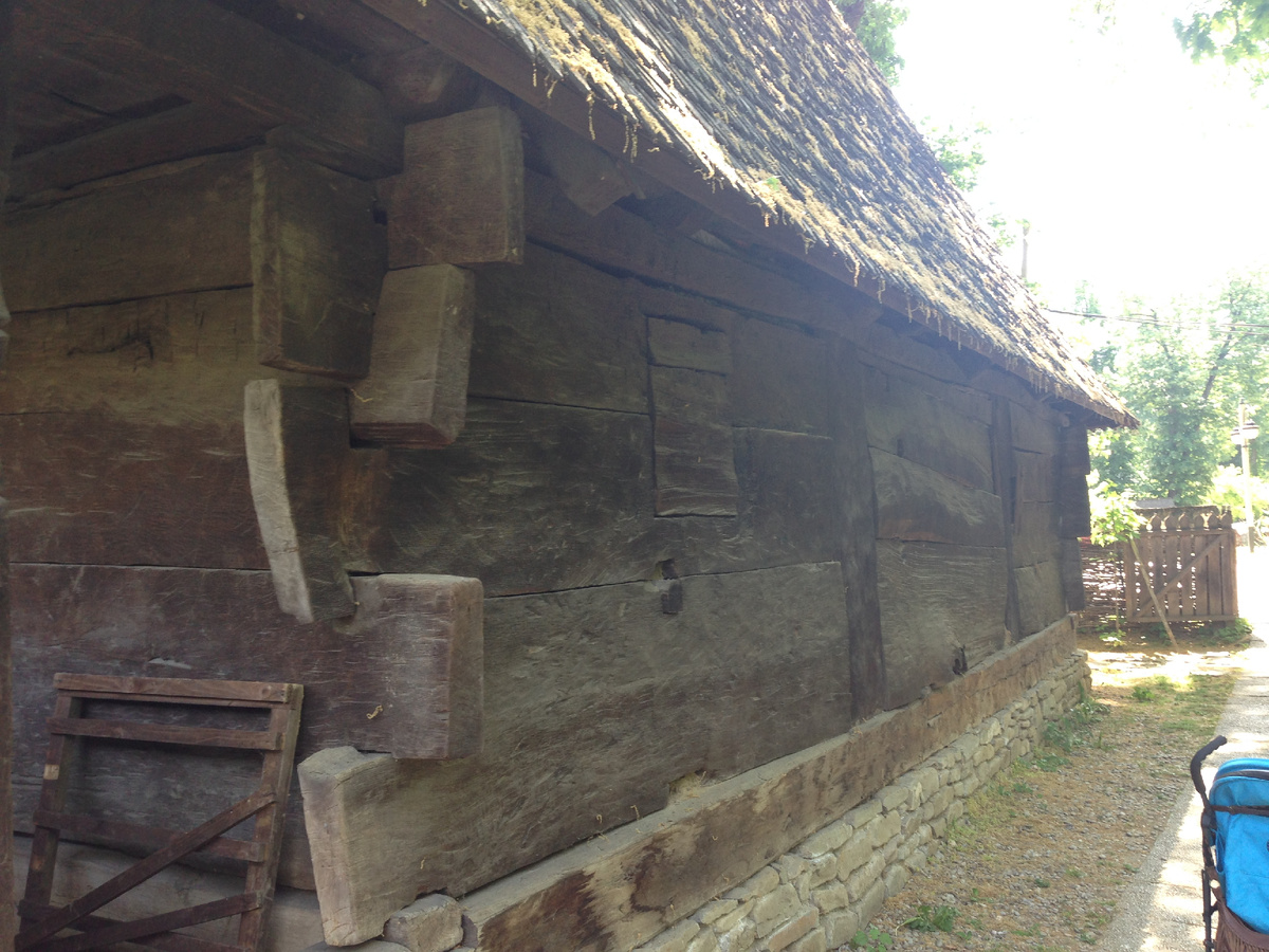 Ниф-ниф одобряет