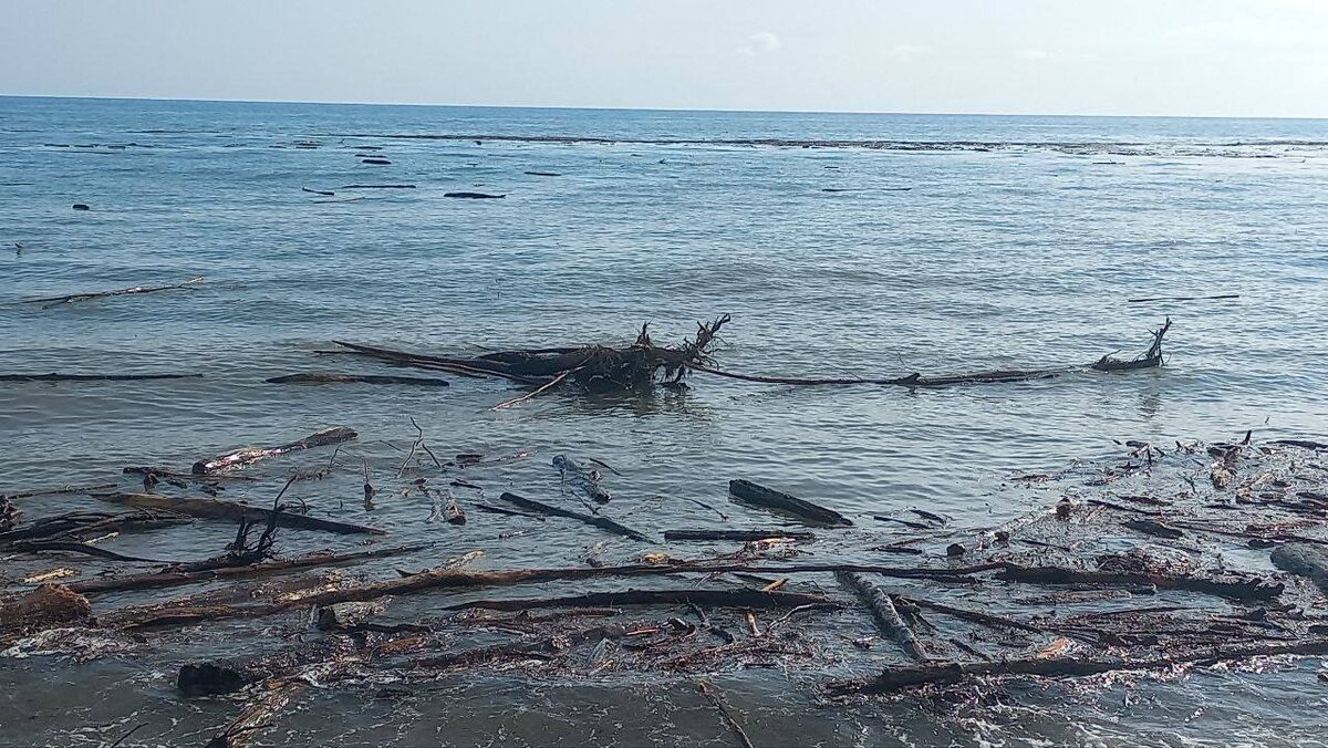    Фото: тг-канал «Сириус»