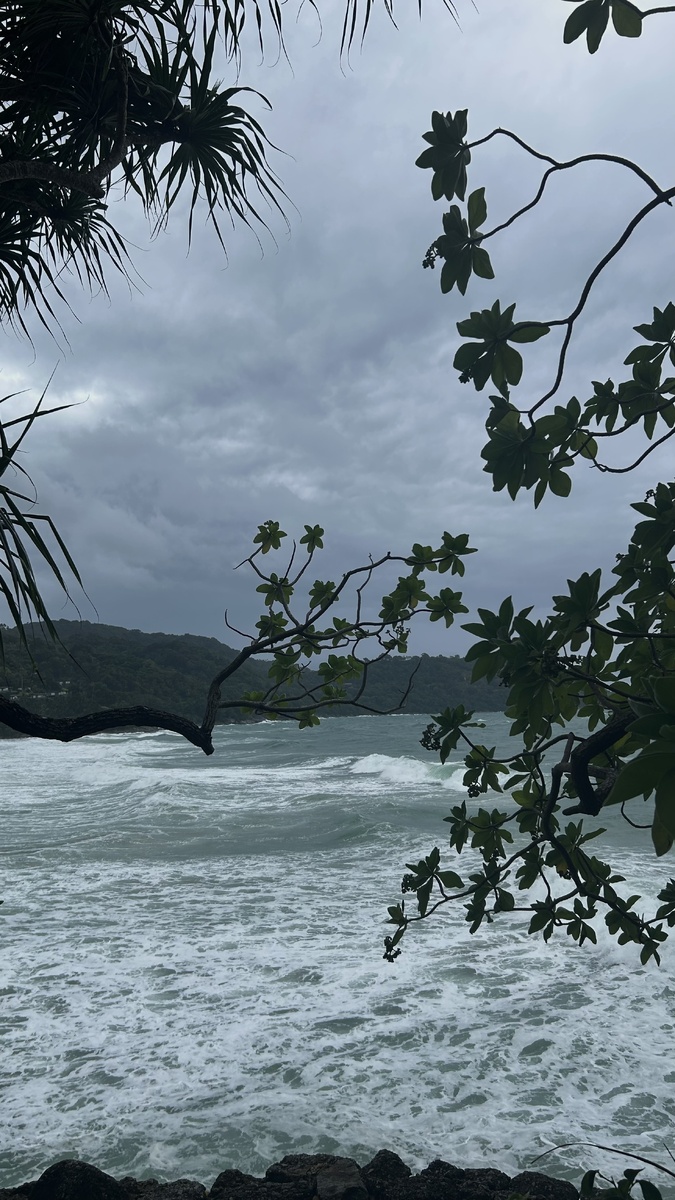 Такая стихия бушует в июне