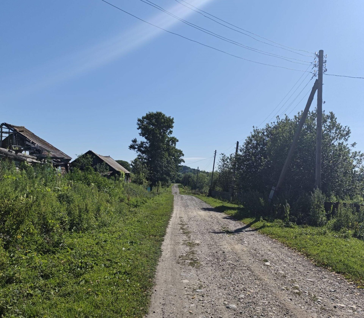 Фотографии Светланы Сорокиной из группы "Кажинская школа" https://ok.ru/group/51741702422764