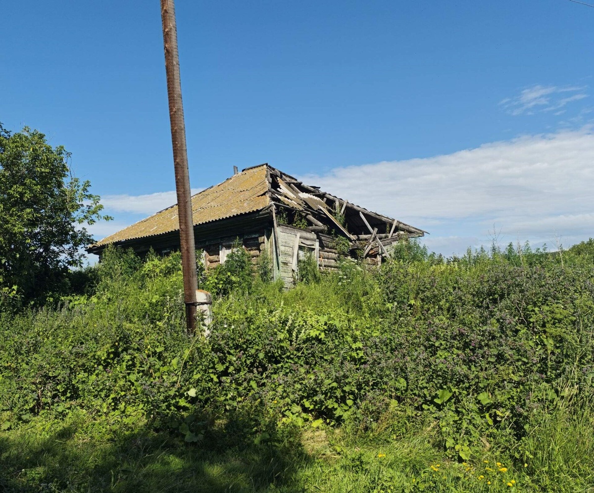Фотографии Светланы Сорокиной из группы "Кажинская школа" https://ok.ru/group/51741702422764