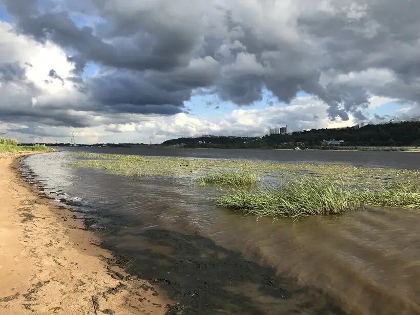     © "Интерфакс". Юлия Кенигсбергер