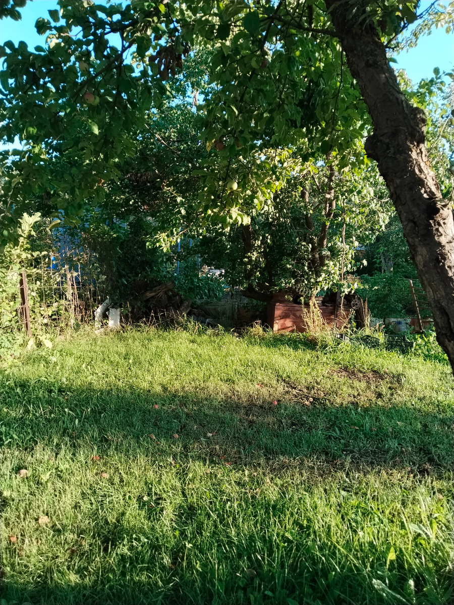 Садовая комната