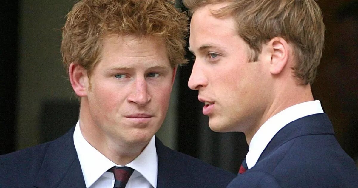 Принцы Гарри и Уильям. Источник фото: The Mirror