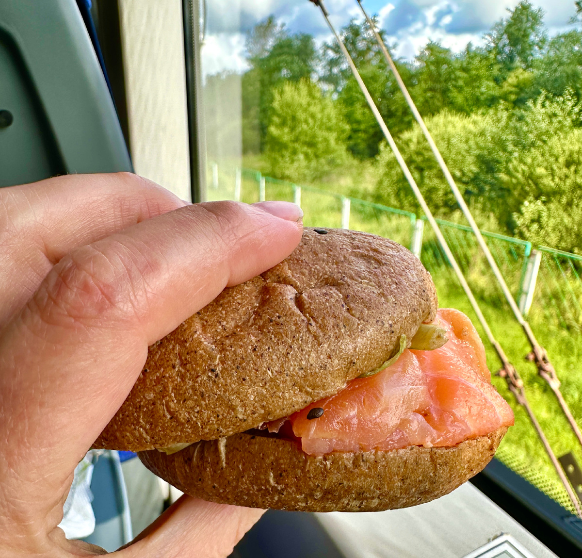 Бутерброд с семгой. Вполне.