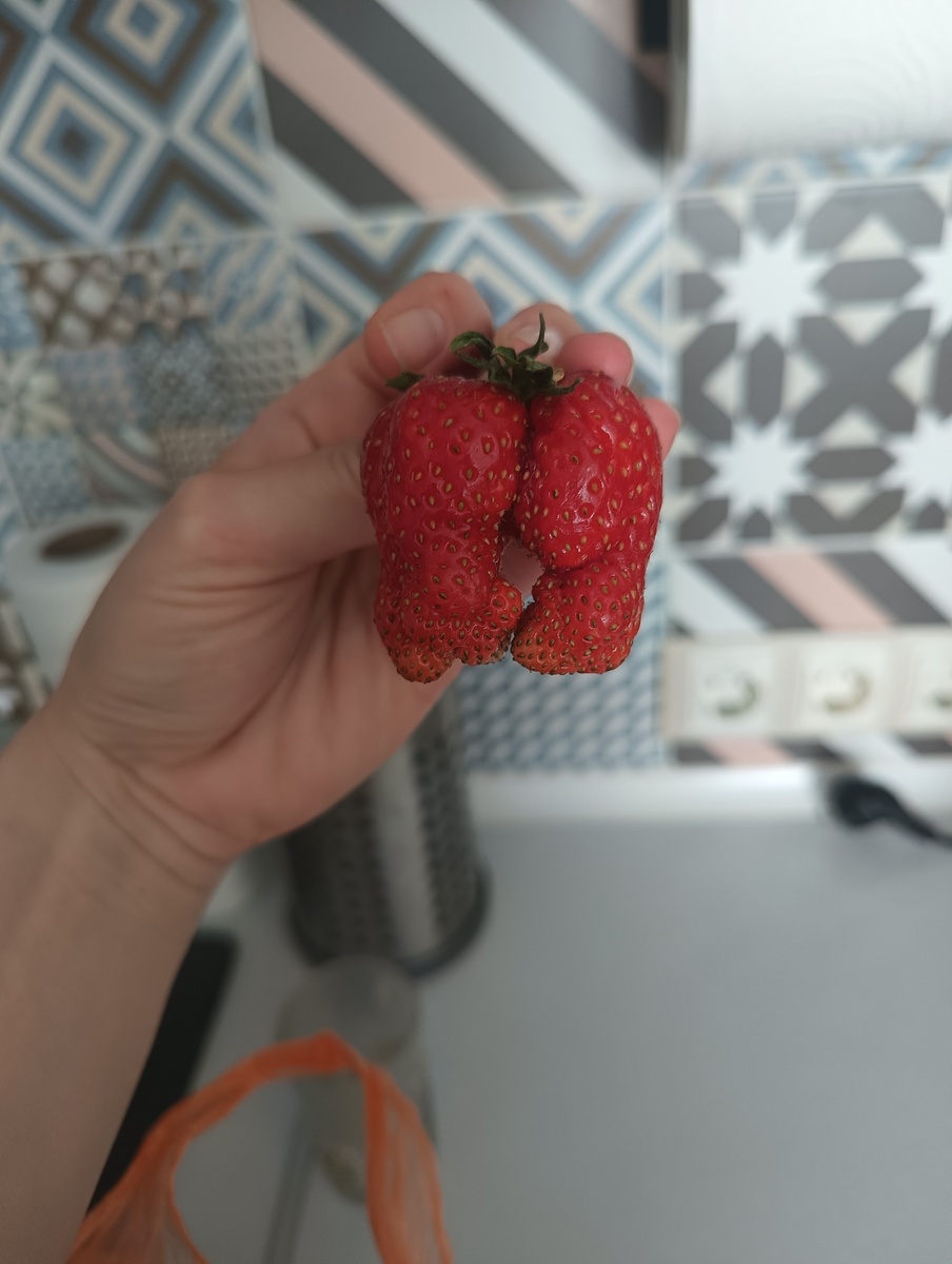 Это лето как бы намекает 🤣