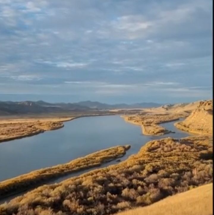 Фото автора.