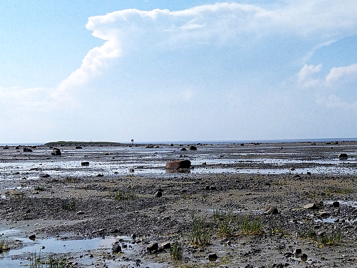 Вдалеке слева виднеется возвышение. Это и есть Белужий мыс. Фото автора