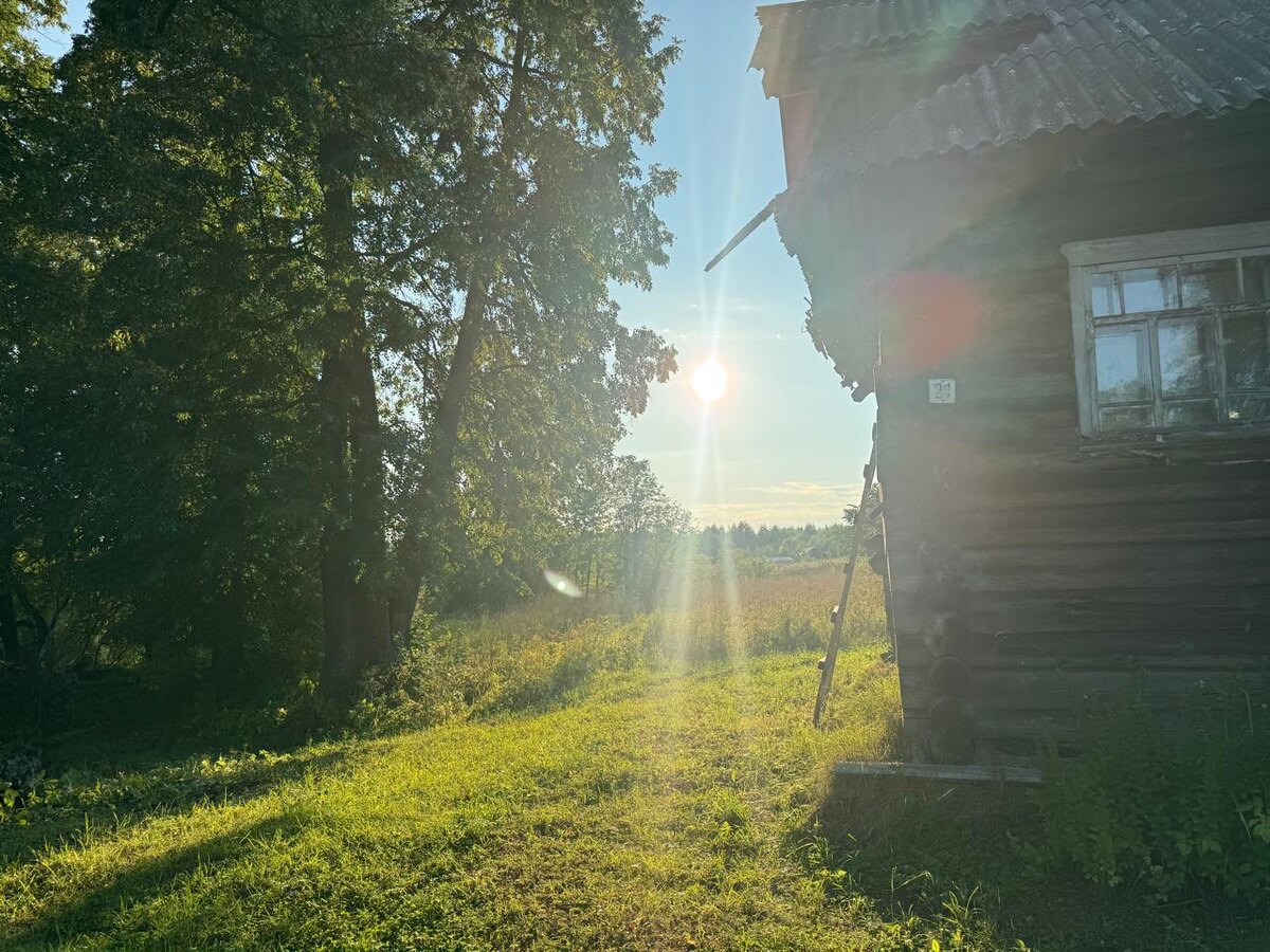 Дом. Большие окна. Двор. 