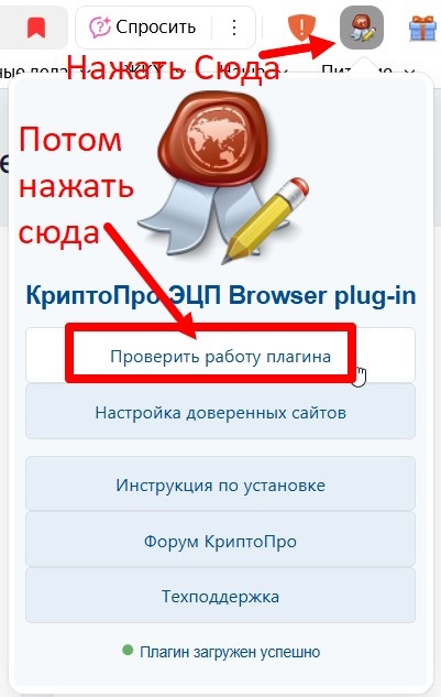Для входа через КриптоПро плагтин нажмите на его пинтограмму в браузере а затем кнопку "Проверить работу плагина".