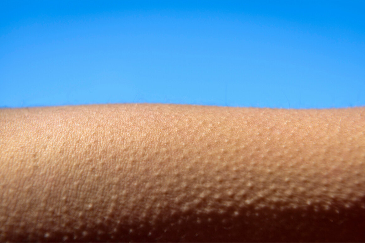     Нейробиологический феномен: зачем нам нужны мурашки?