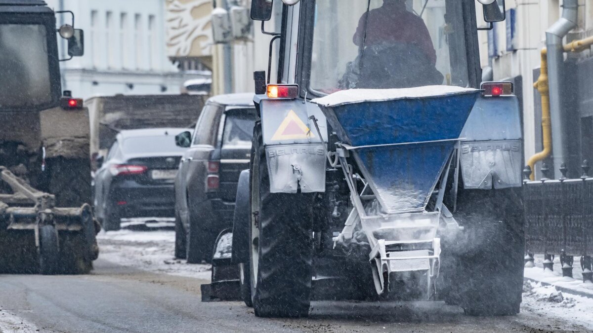    Фото: ИЗВЕСТИЯ/Константин Кокошкин