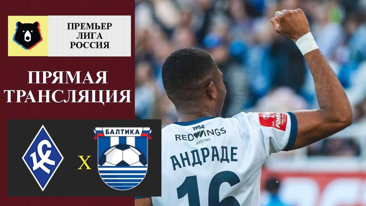 Все фото из открытых источников.