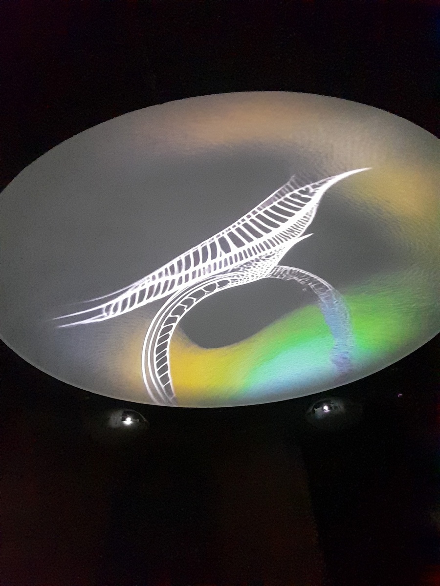 пыталась сфотографироватьт изображение на куполообразной поверхности)