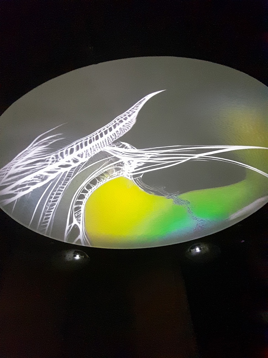 поверхность все того же купола через 5 секунд