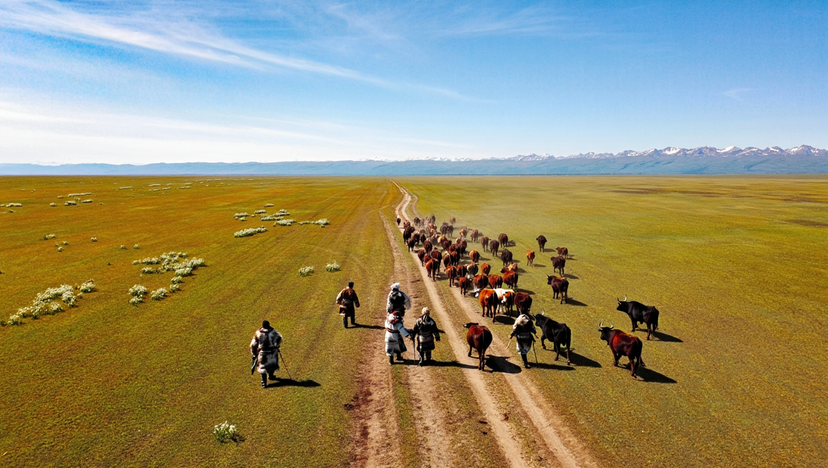 Реконструкция передвижения афанасьевцев по древним тропам